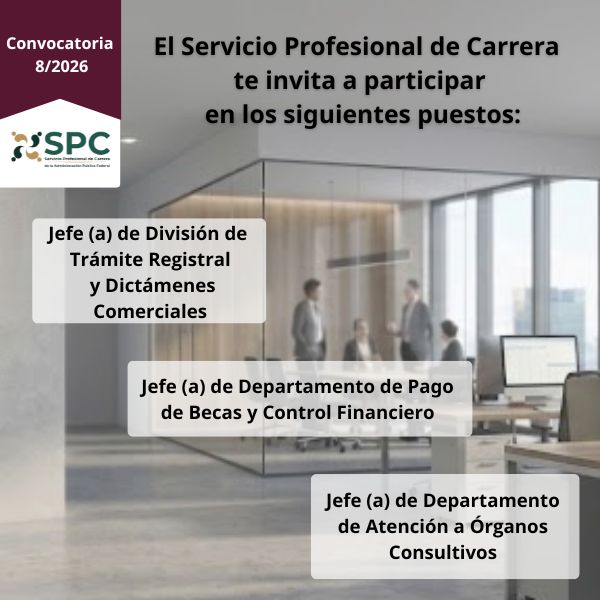 Convocatoria 8- 2026